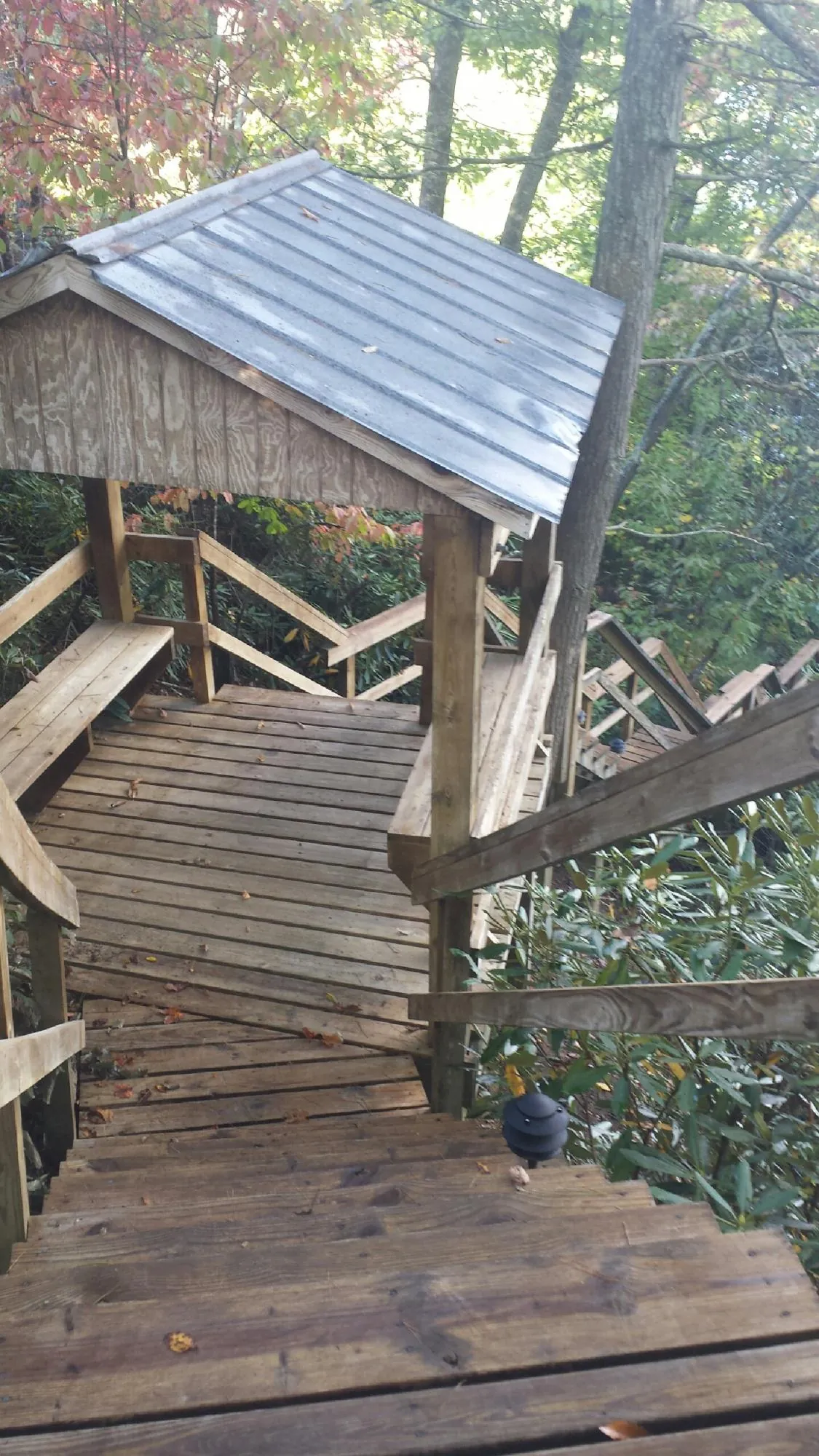 Metal roofed shelter over wooden steps on a wooded walkway — Skylight Repair & Installation work by our crew in Lake Lillian